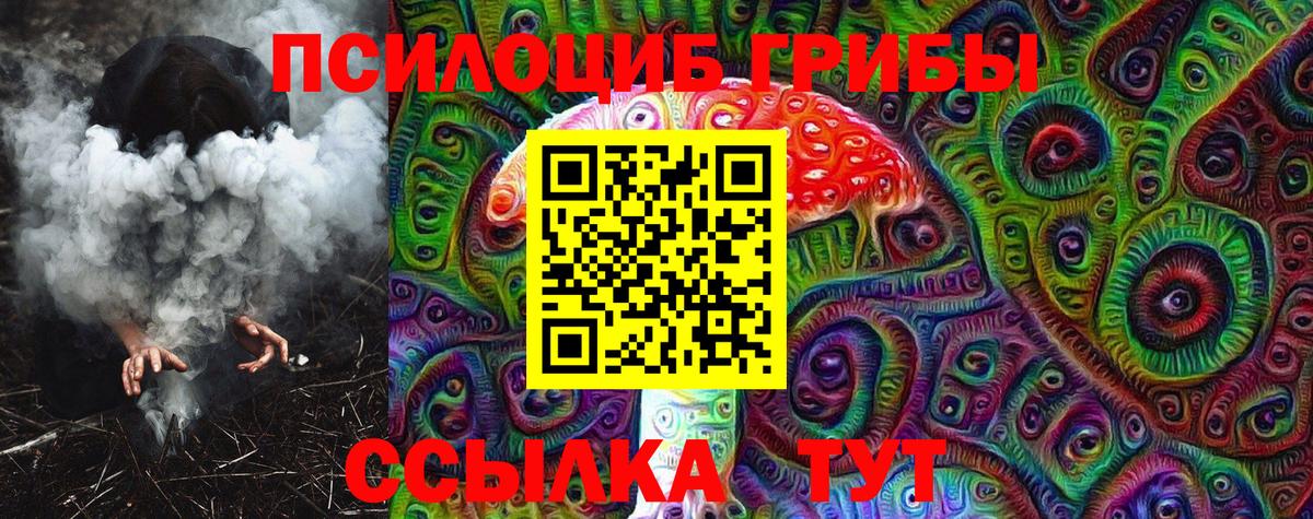 Псилоцибиновые грибы ЛСД Нерюнгри