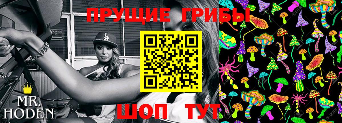 Псилоцибиновые грибы прущие грибы  Вход с VPN  Нерюнгри 